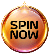 Spin